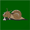 snaildog